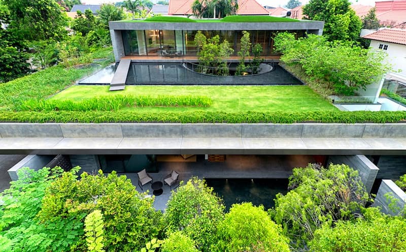 بام سبز (Roof garden)