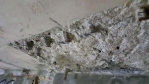 ترمیم و مقاوم سازی دال بتنی کرمو شده