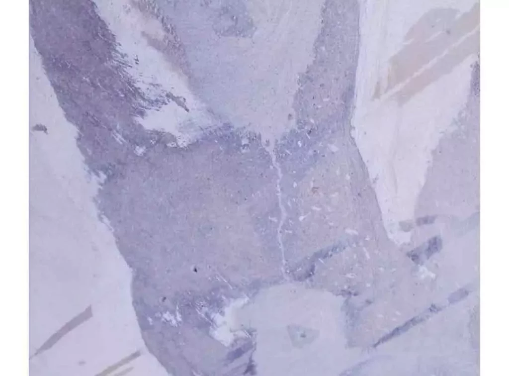 concrete-beam-repair-using-injection-AFZIR-CO3