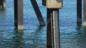 مقاوم سازی شمع مغروق با FRP