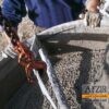 دیرگیر کننده بتن مایع